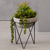Fiori Mixed Succulent Planter with Metal Stand