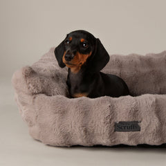 Scruffs Cloud Grey "My First" Box Bed for Puppies and Kittens