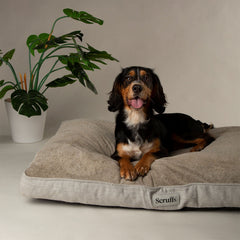 Scruffs Harvard Pearl Grey Memory Foam Orthopeadic Dog Mattress