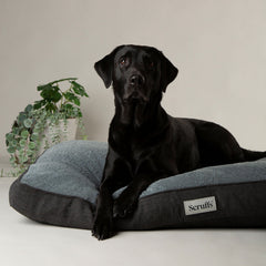 Scruffs Harvard Graphite Grey Memory Foam Orthopeadic Dog Mattress