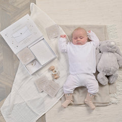 Bambino Bear Socks (Gift Pack of 5)