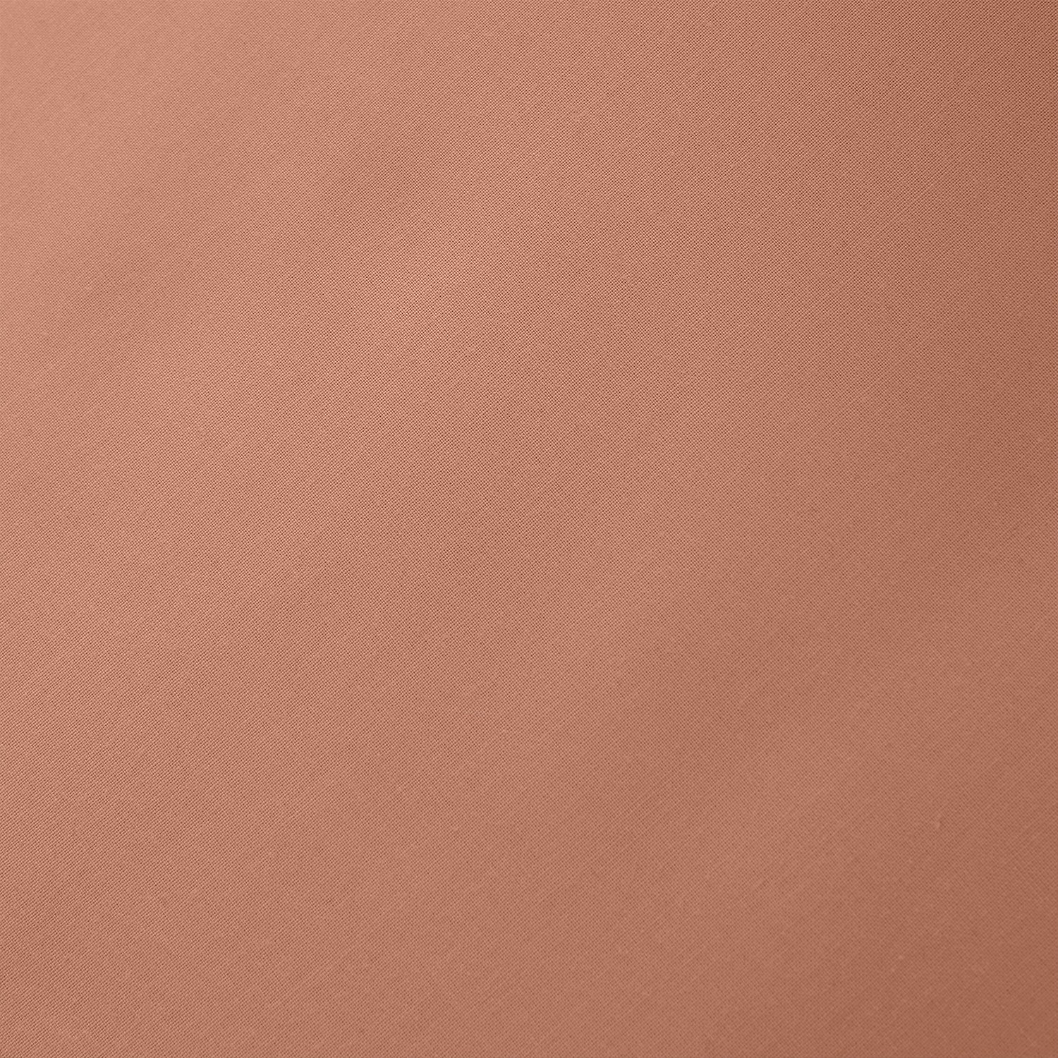 Bianca Clay 200TC Cotton Percale Fitted Sheet