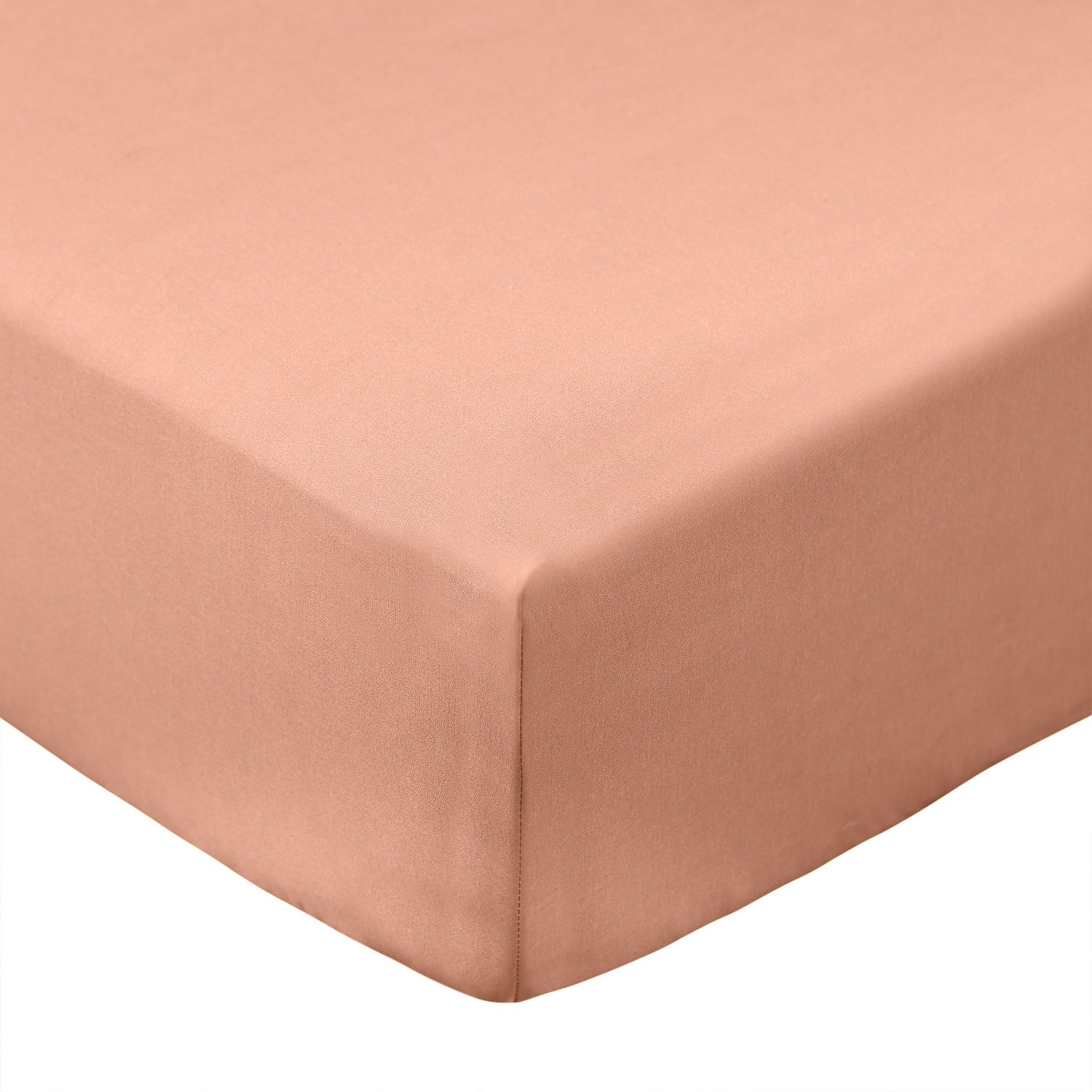 Bianca Clay 200TC Cotton Percale Fitted Sheet