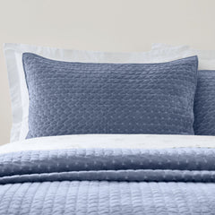 Bianca Attica Blue Velvet Embroidered Pillow Sham Pair