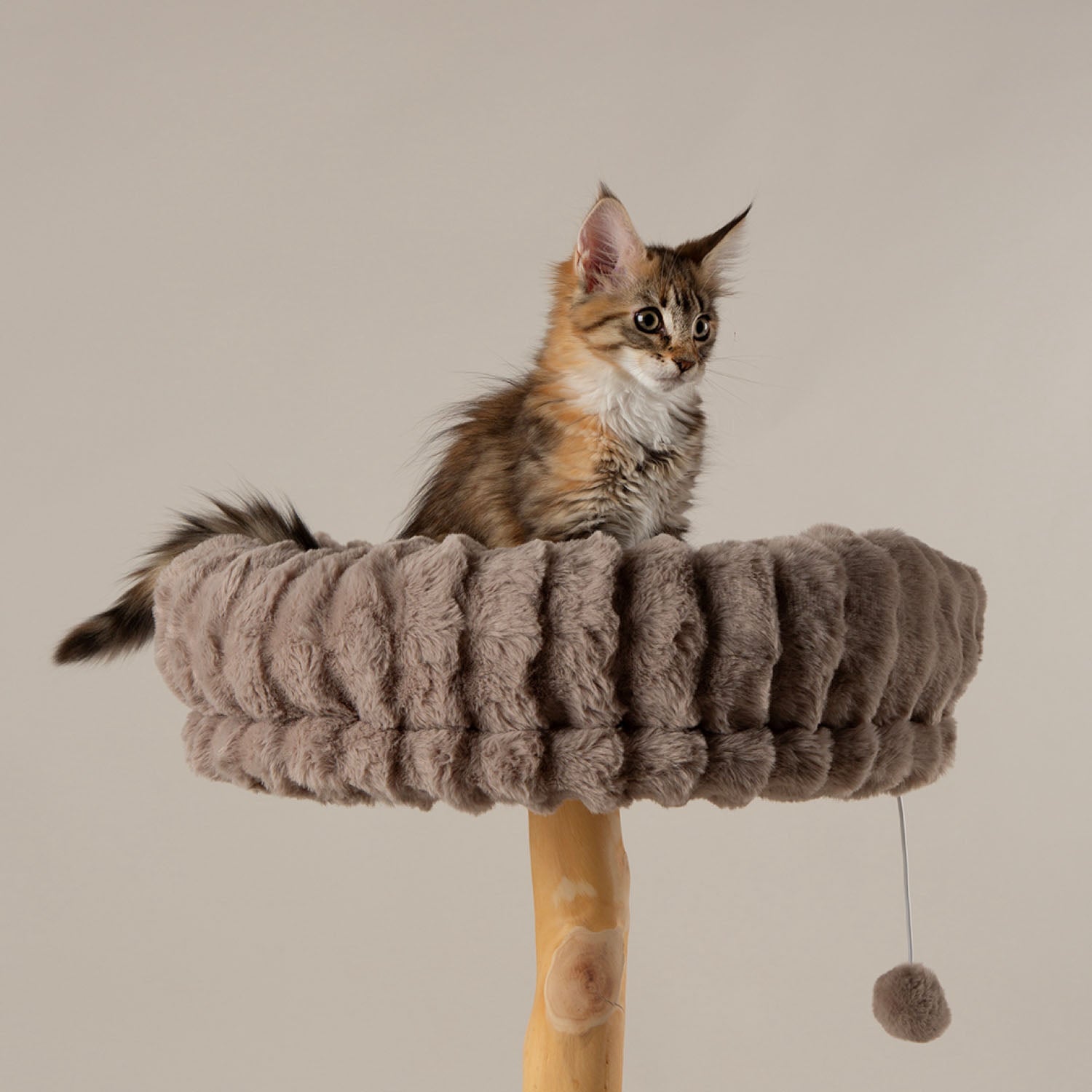 Scruffs Atlas Taupe Cat Scratching Tree
