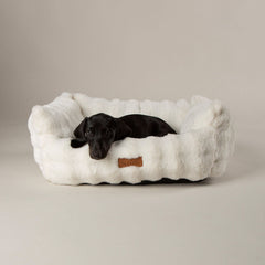 Scruffs Cloud Cream "My First" Box Bed for Puppies and Kittens