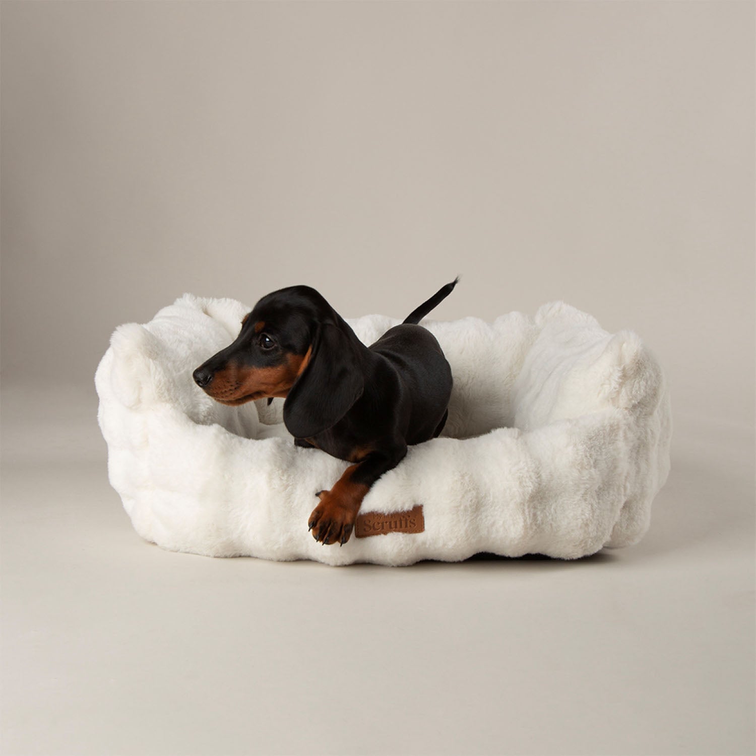 Scruffs Cloud Cream "My First" Box Bed for Puppies and Kittens