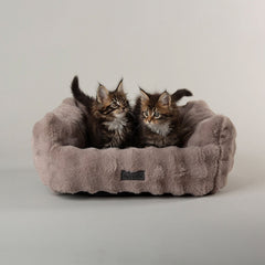 Scruffs Cloud Grey "My First" Box Bed for Puppies and Kittens