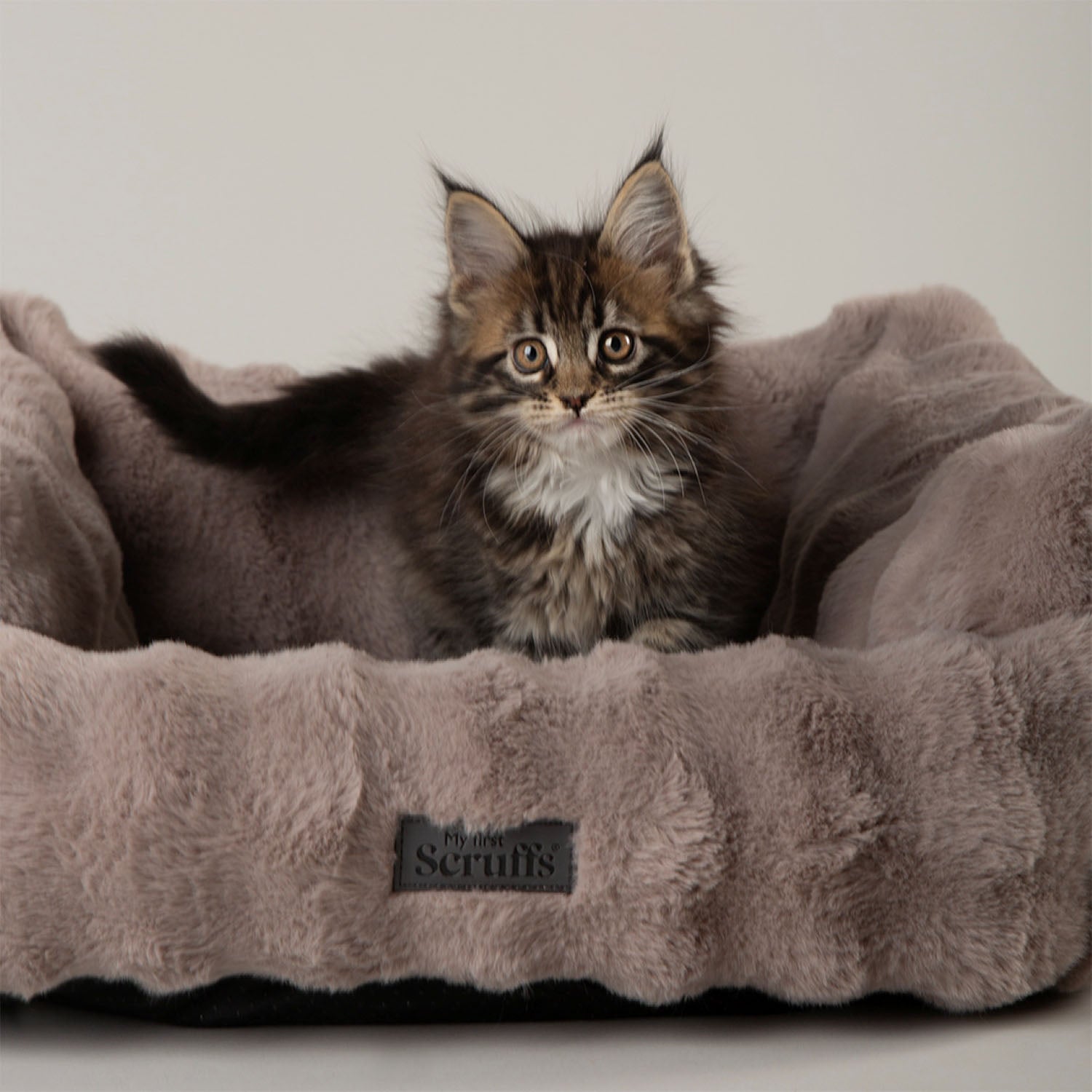 Scruffs Cloud Grey "My First" Box Bed for Puppies and Kittens