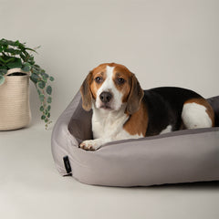 Scruffs Expedition  Storm Grey Dog Box Bed