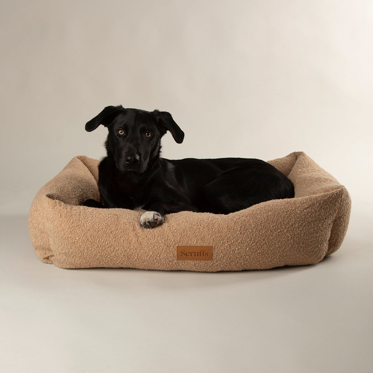 Scruffs Boucle Desert Tan Dog Bed