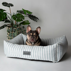 Scruffs Coastal Green Stripe Pet Dog Bed