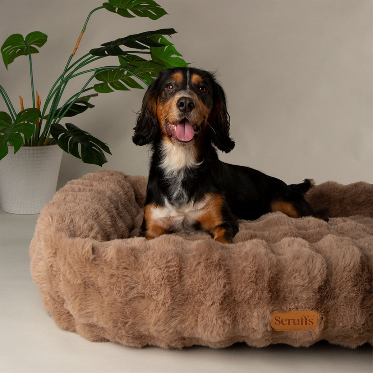 Scruffs Alpine Taupe Box Pet Bed
