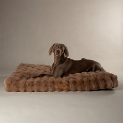 Scruffs Alpine Taupe Dog Mattress