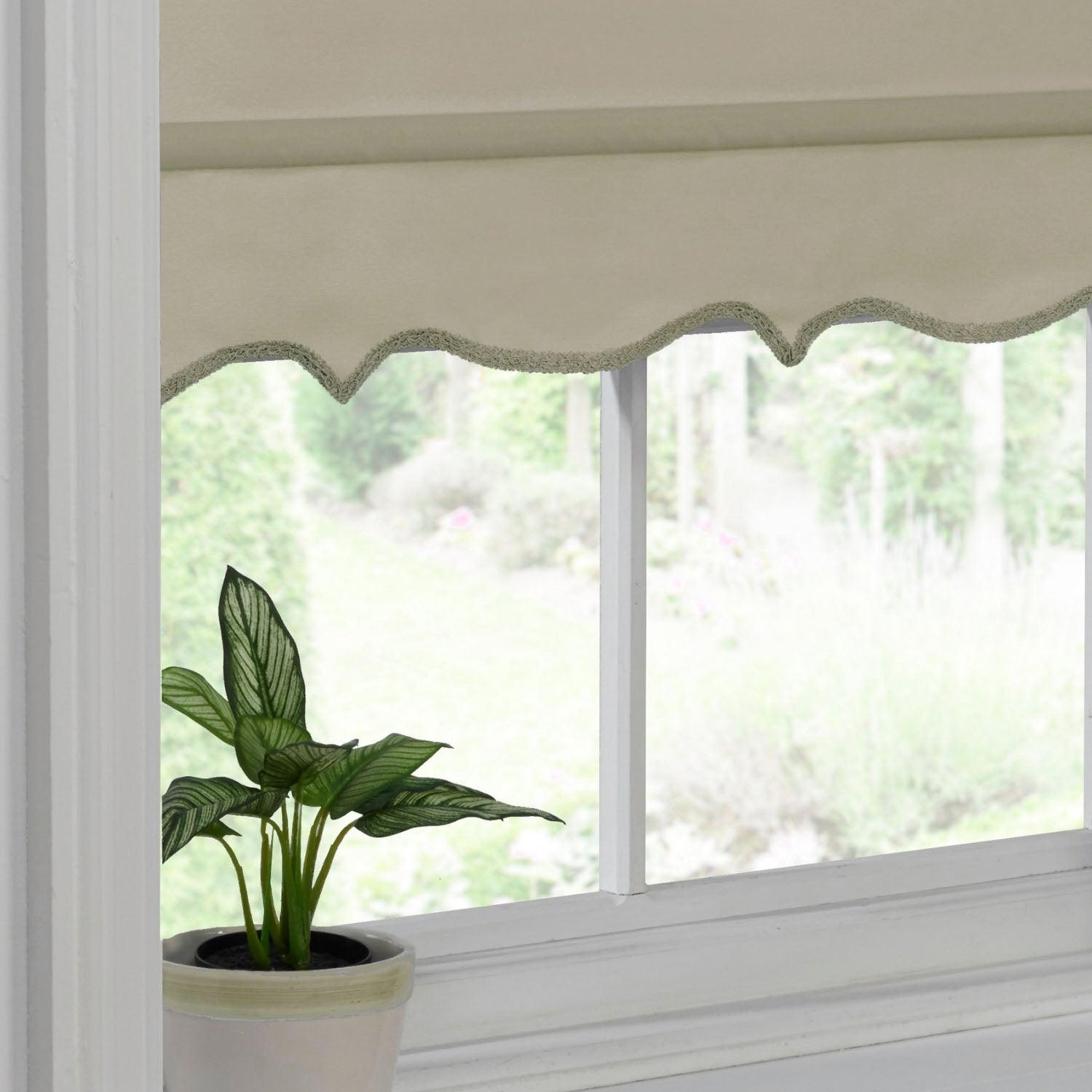 Cream Taupe Scalloped Roller Blind